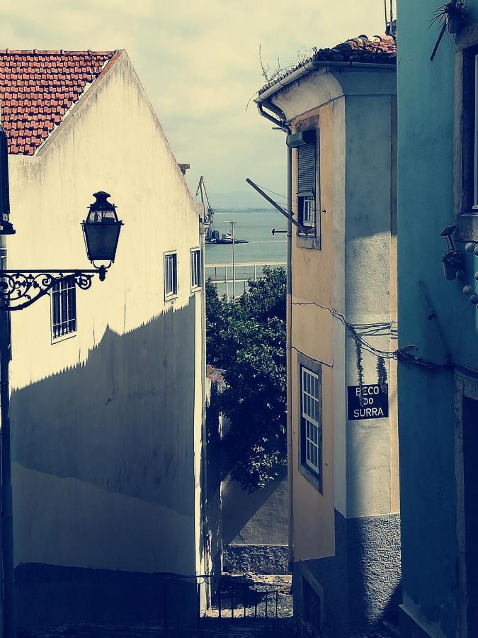 Sardinha Boemia - Remedios Lejlighed Lisboa